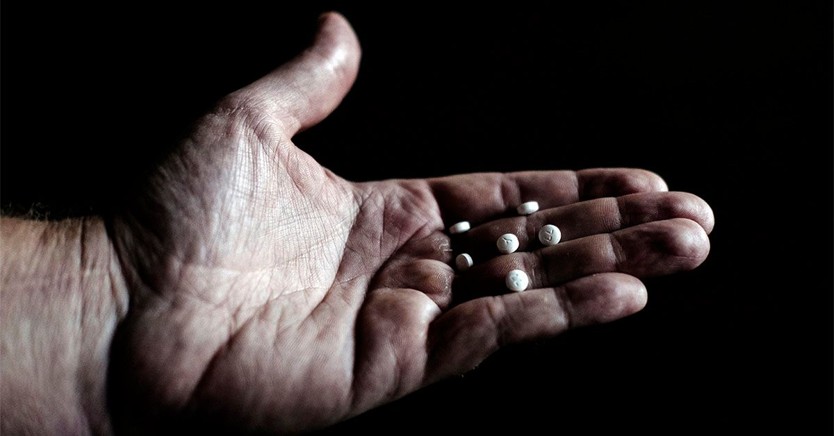 Rapamicina ar putea prelungi durata de viață la fel de eficient ca restricțiile alimentare