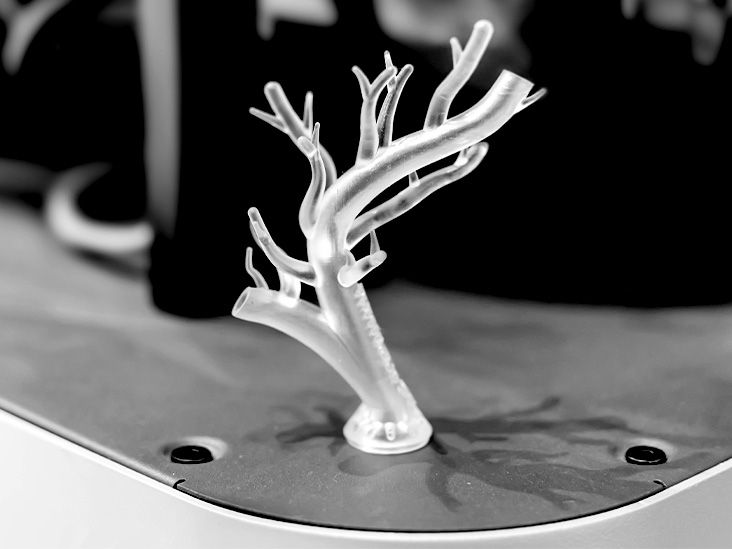 scientists find novel way to slow and even reverse aging of the heart 685a8f47810d0