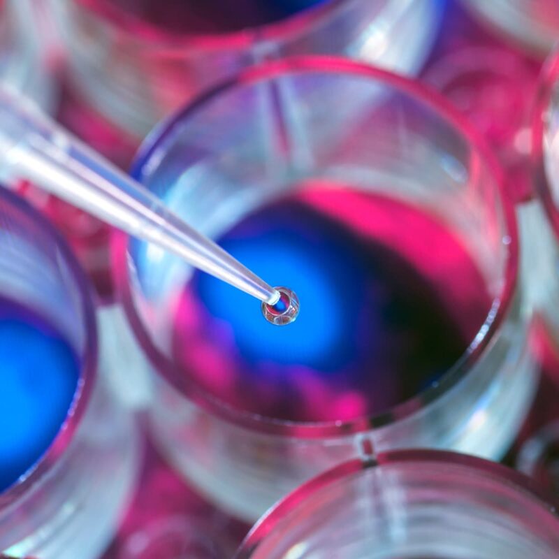 fda greenlights new treatment for advanced blood cancer 6866c12920e0b