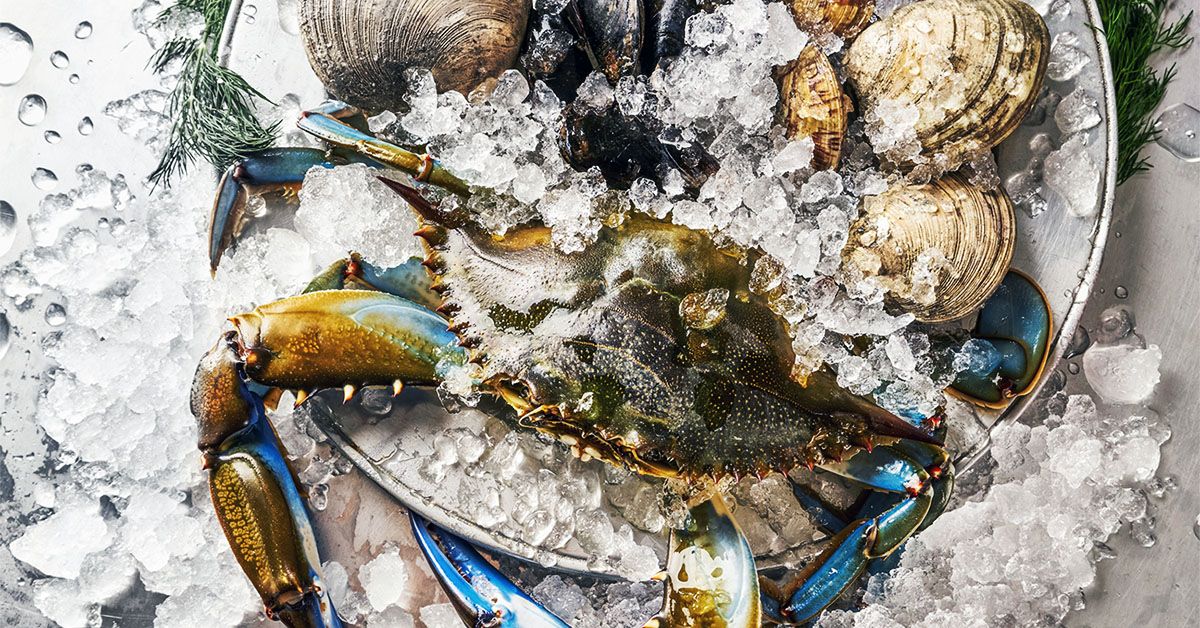 Consumul crescut de cupru ar putea contribui la o sănătate cerebrală îmbunătățită