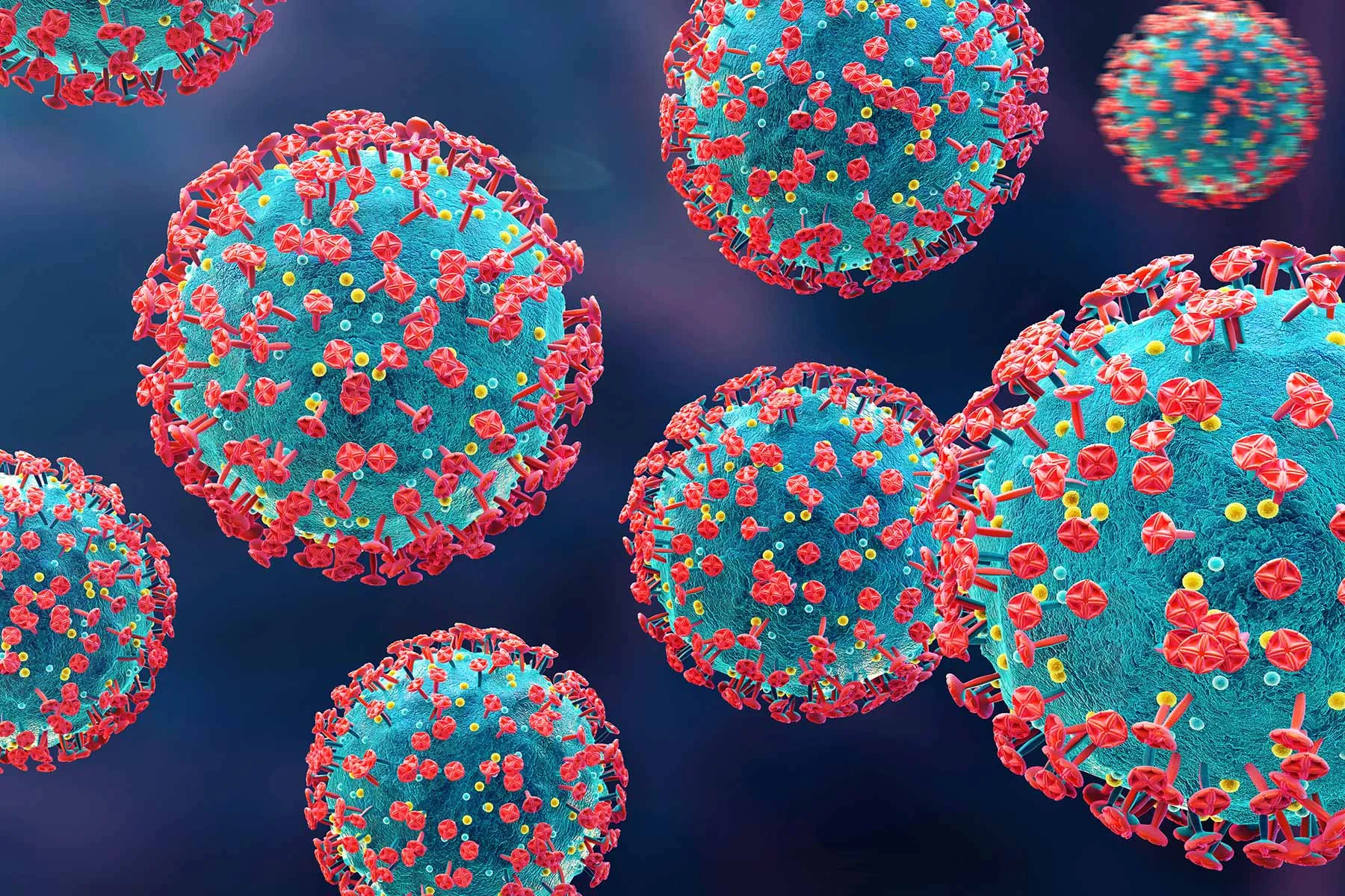 De ce crește numărul cazurilor de COVID în timpul verii și cum ne putem proteja