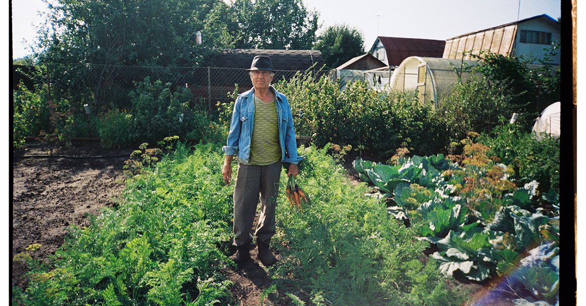 Trei tipuri de dietă care pot diminua riscul bolilor cronice la persoanele în vârstă