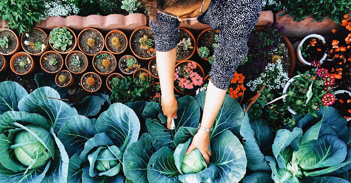 Noile îndrumări AHA privind hipertensiunea: Ce trebuie să știm?