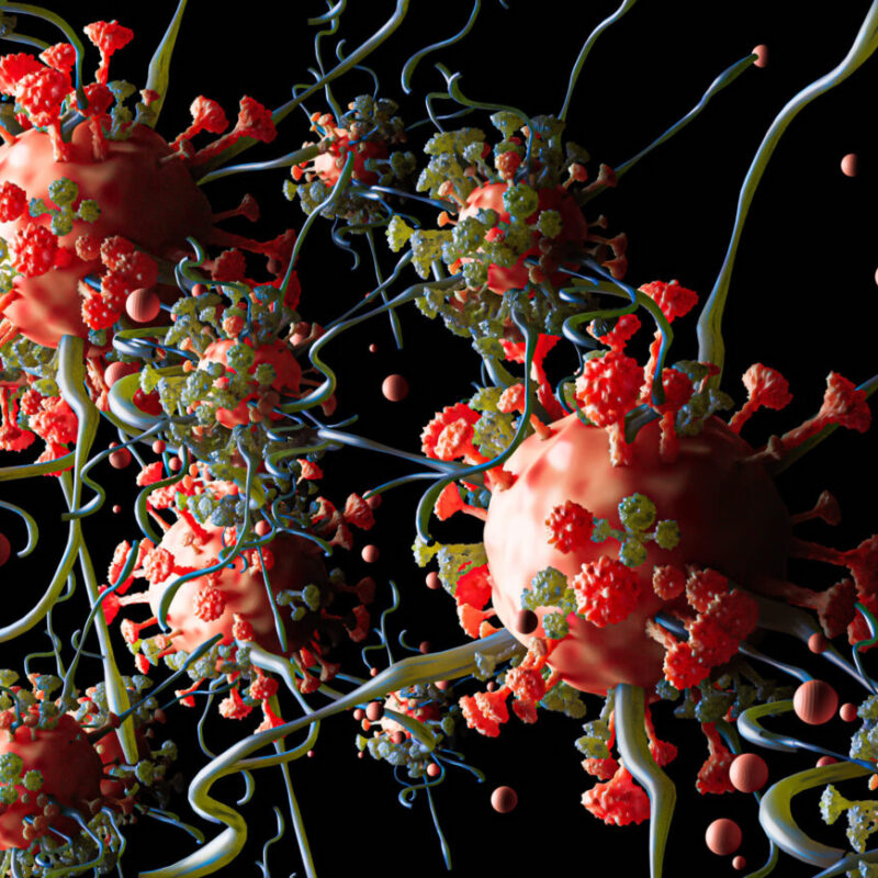 celulele umane imbatranite pot fi reincarcate o descoperire care ar putea schimba total medicina 693abc2a3f00c