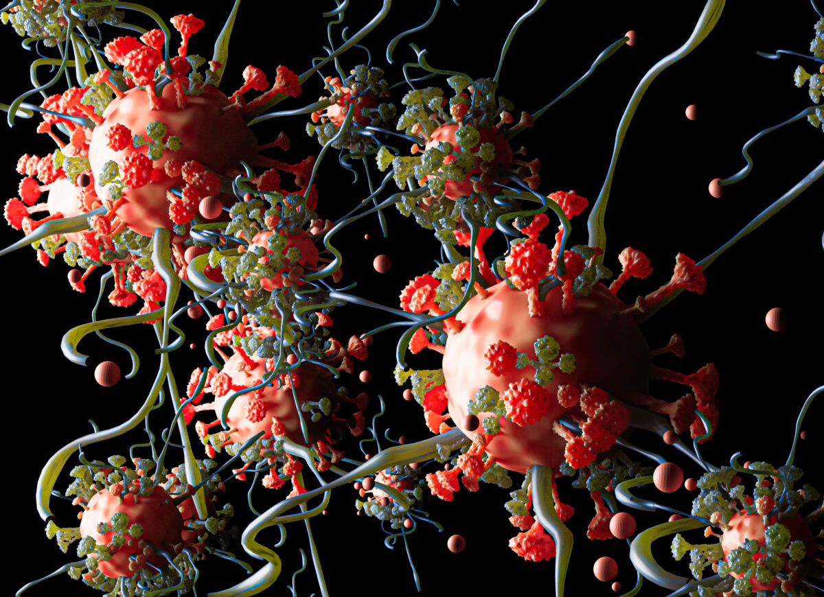 Celulele umane îmbătrânite pot fi „rejuvenate”: o descoperire revoluționară pentru viitorul medicinei