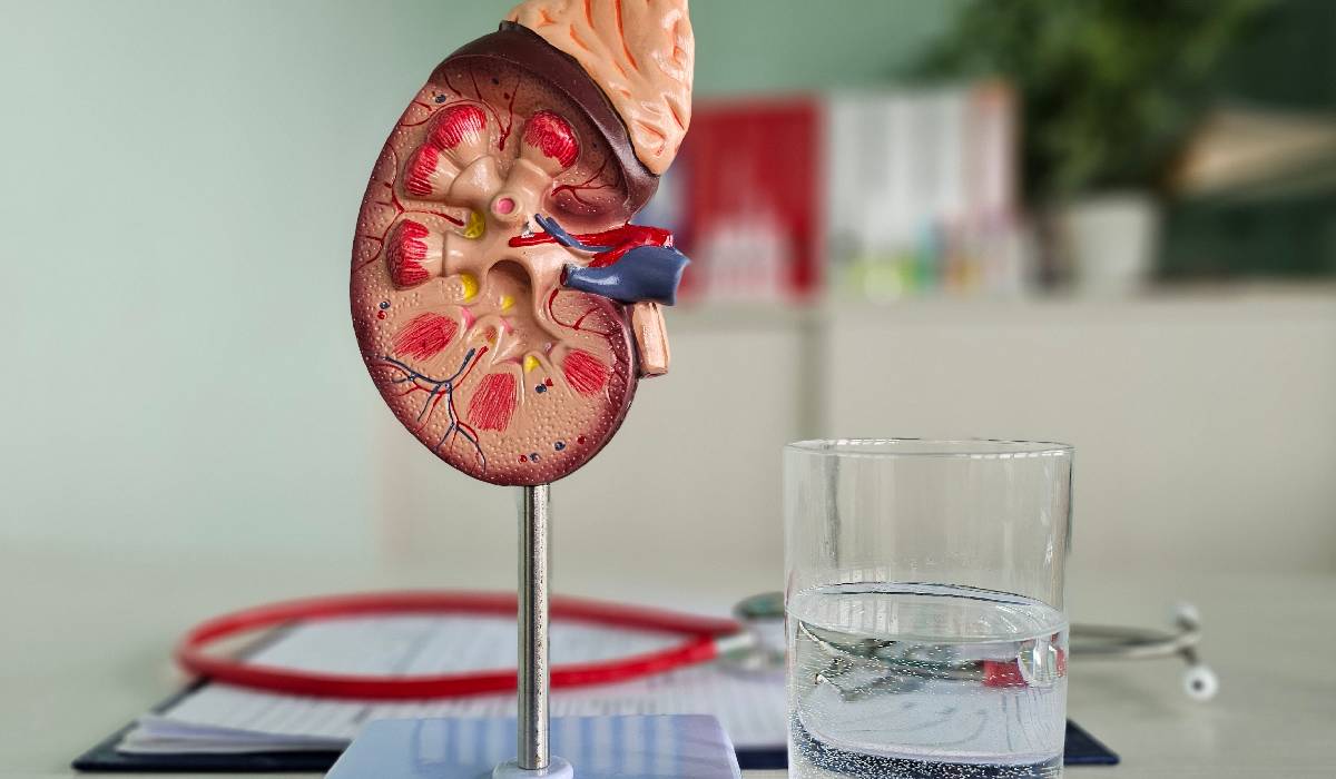 Alimente surprinzătoare care te pot deshidrata fără să-ți dai seama