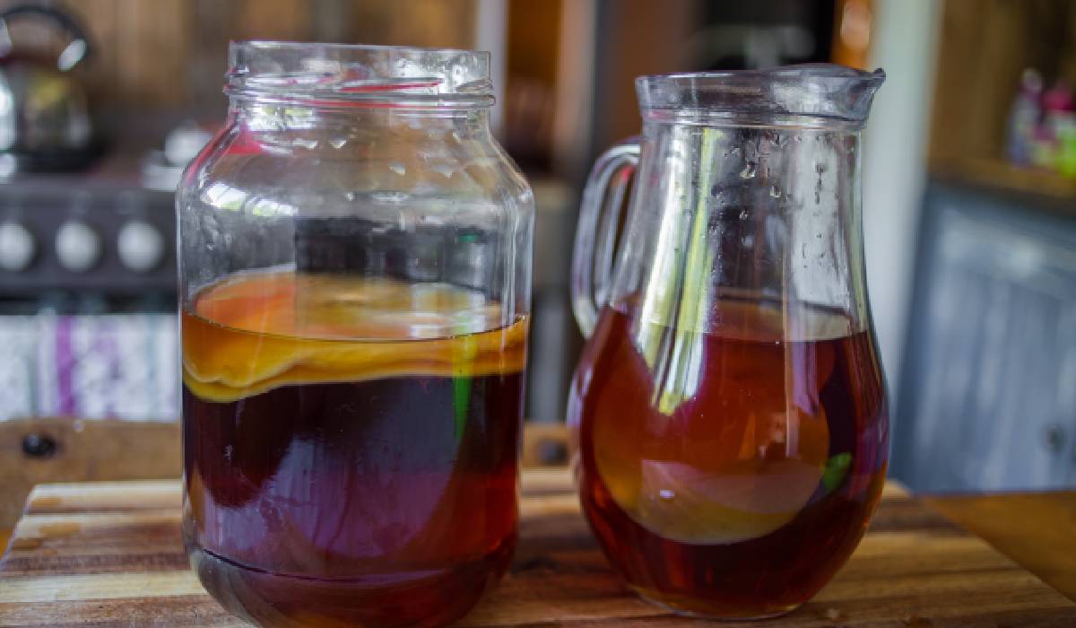 Kombucha: descoperă ingredientele sale și justificarea renumelui ei