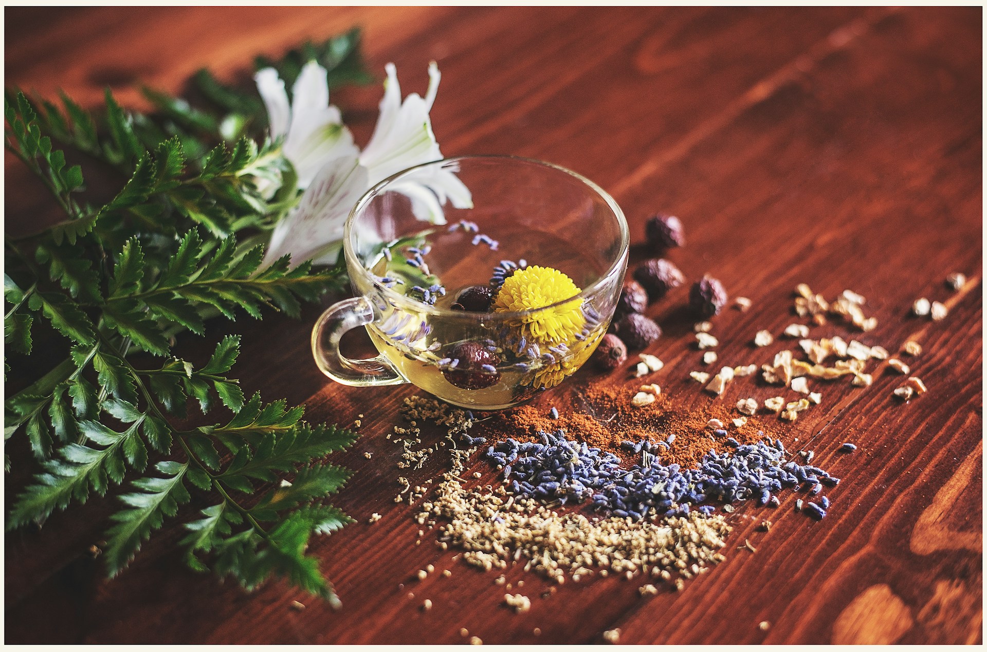 Epuizat după o noapte albă? Descoperă cele 7 plante care îți pot oferi sprijin natural