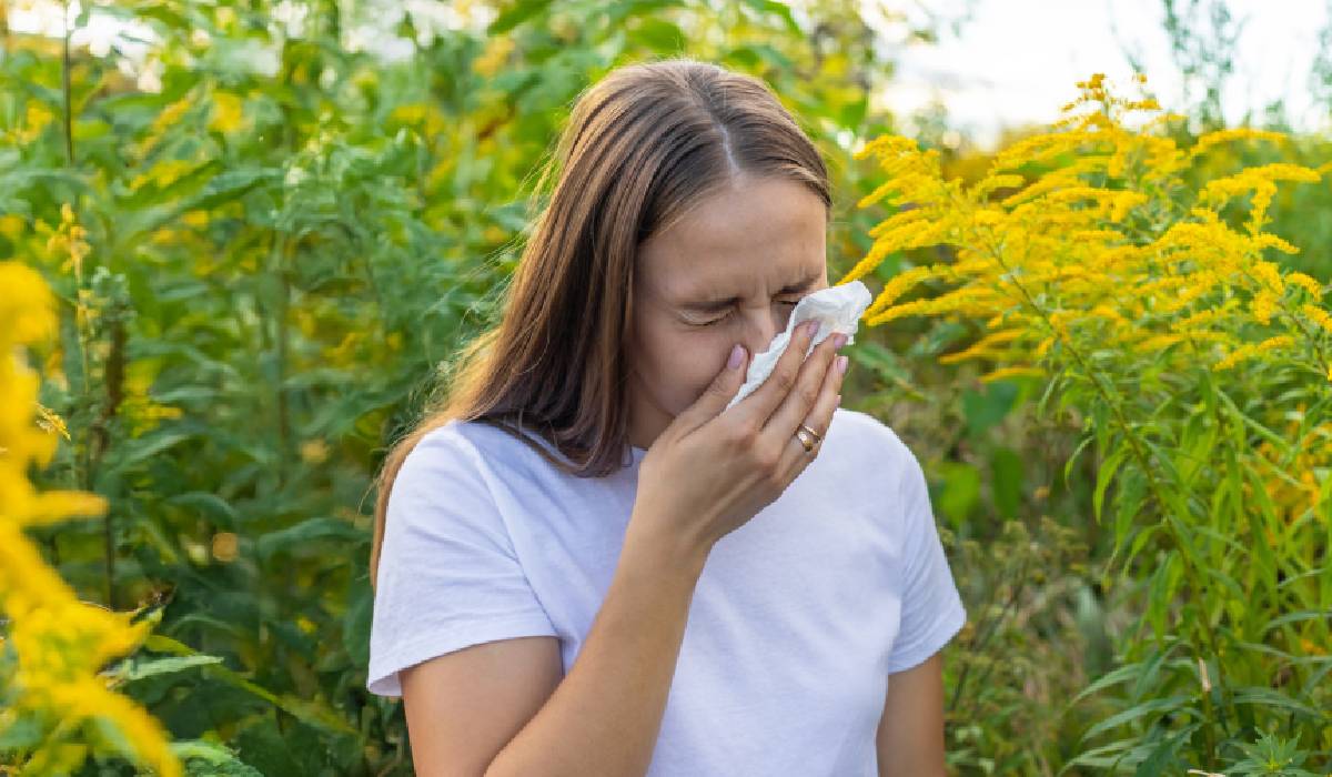 Septembrie și alergiile: ce plante eliberează polen la sfârșitul verii și cum afectează ambrozia sănătatea noastră